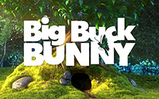 Ойын автоматы Big Buck Bunny